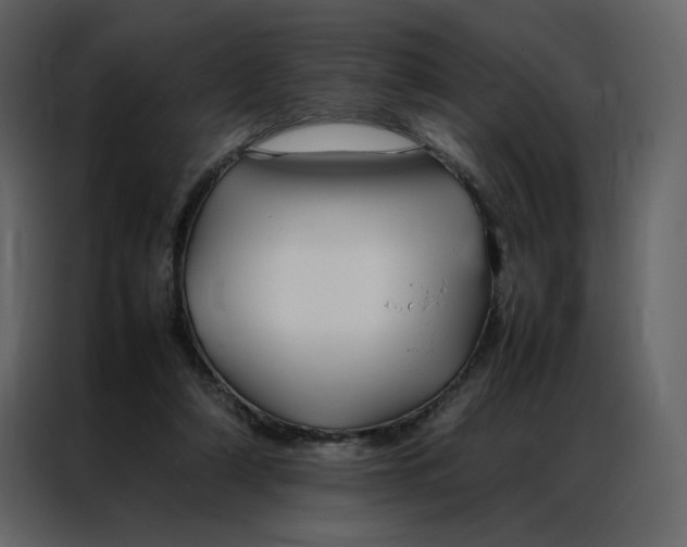 X0000086990306200705071442