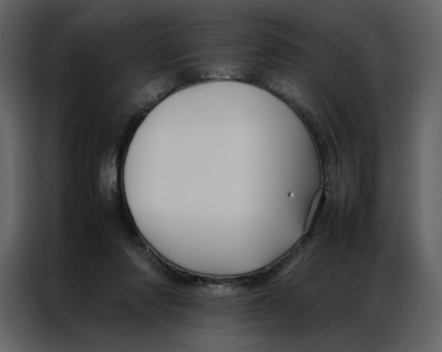 X0000086990310200705071442