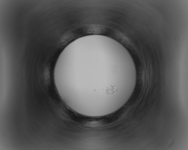 X0000086990312200705071442