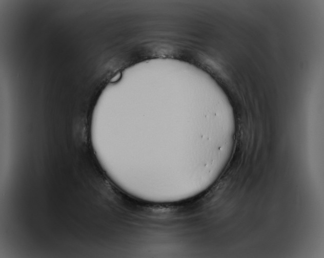 X0000086990313200705071442