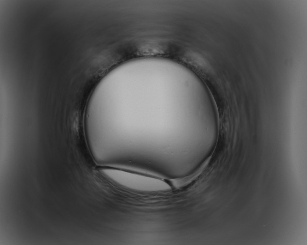 X0000086990315200705071442