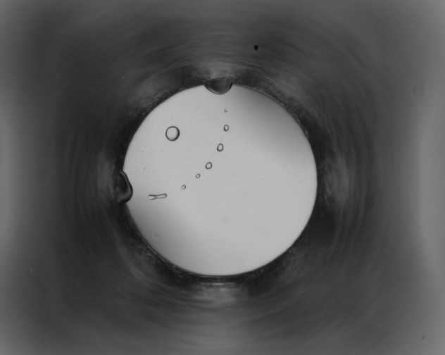 X0000086990316200705071442