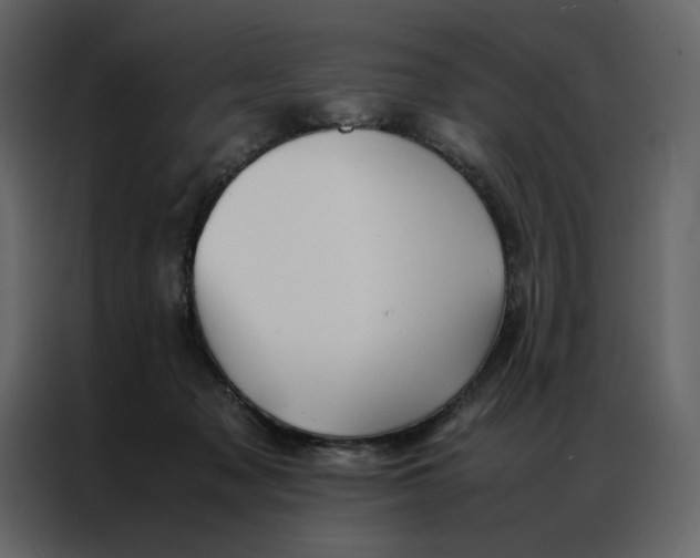 X0000086990317200705071442