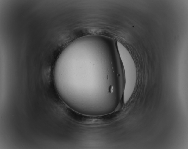 X0000086990319200705071442