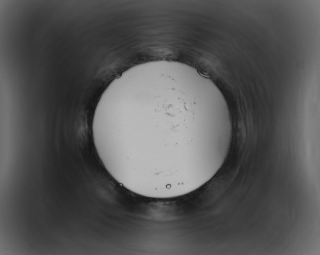 X0000086990320200705071442