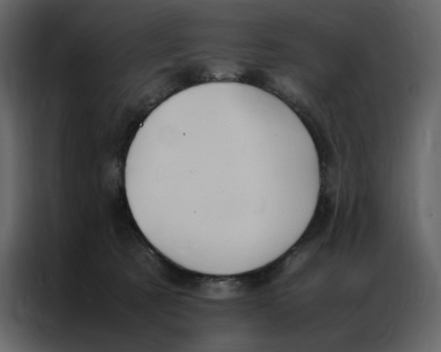 X0000086990321200705071442