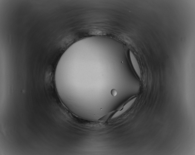 X0000086990322200705071442