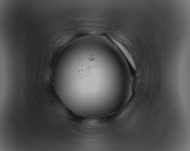 X0000086990325200705071441