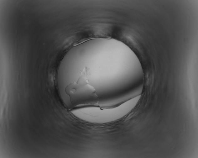 X0000086990329200705071441