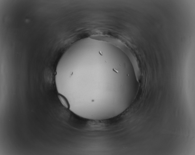 X0000086990331200705071441