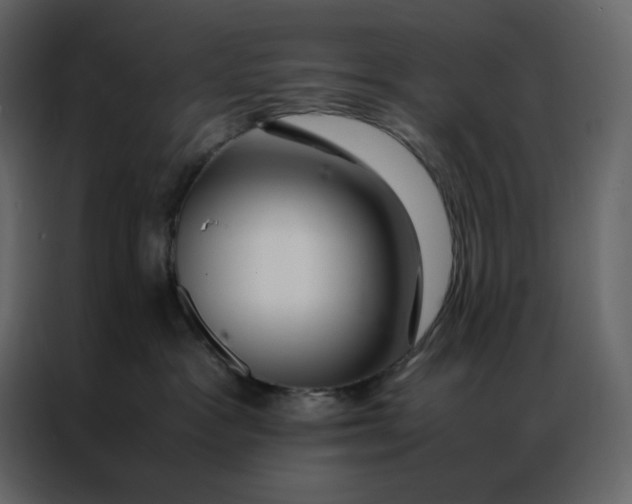 X0000086990333200705071441