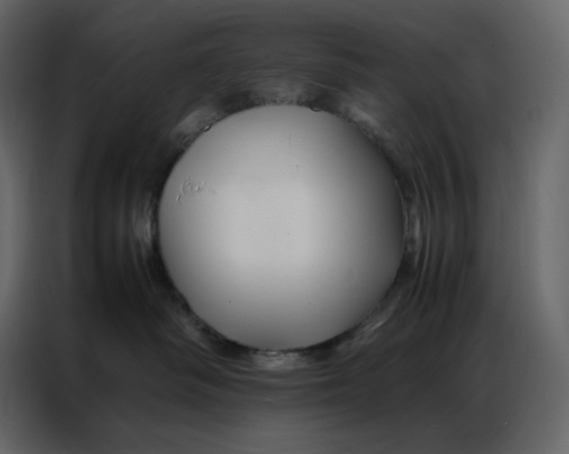 X0000086990334200705071441