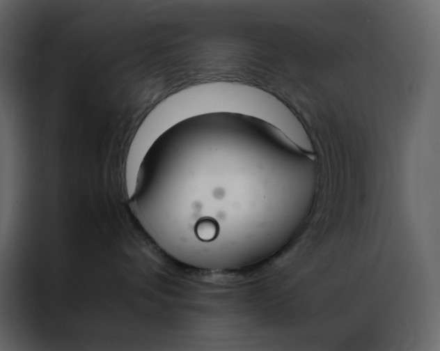 X0000086990336200705071441