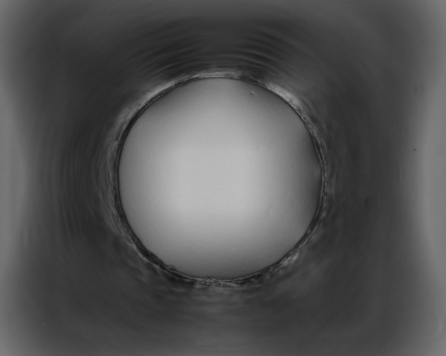 X0000086990337200705071441