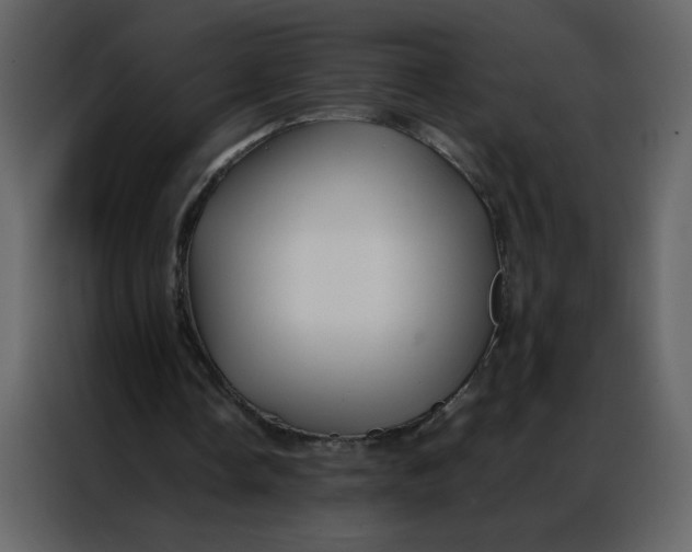 X0000086990338200705071441