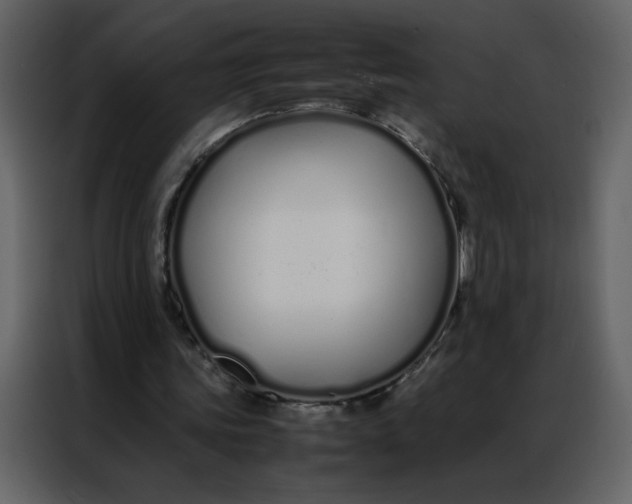 X0000086990339200705071441