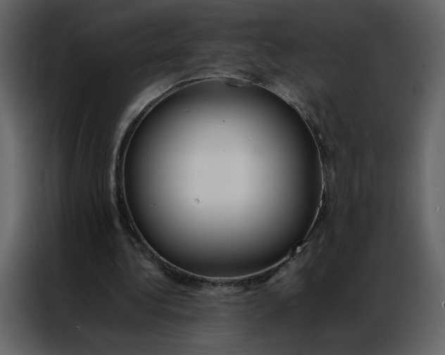 X0000086990340200705071441