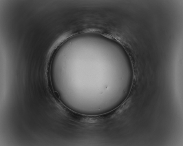 X0000086990341200705071441