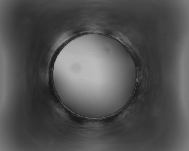 X0000086990344200705071441