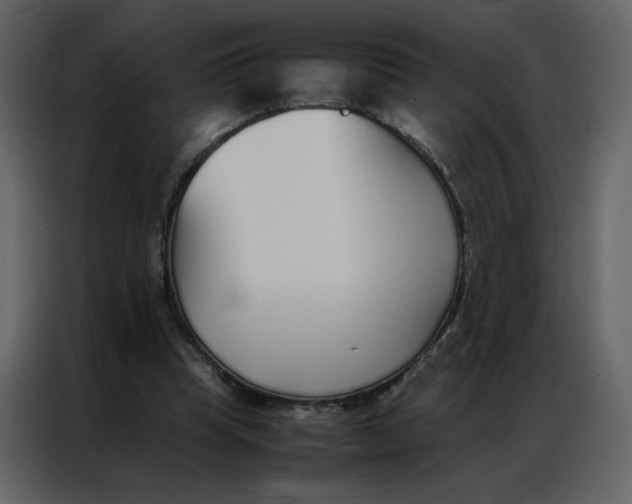 X0000086990345200705071441