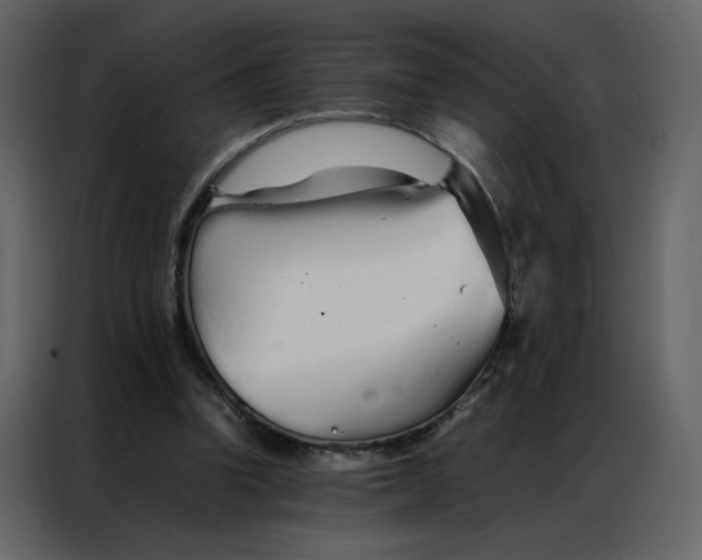 X0000086990346200705071441