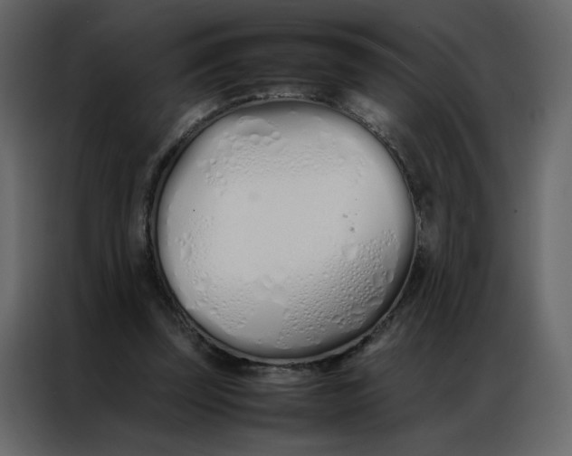 X0000086990347200705071441