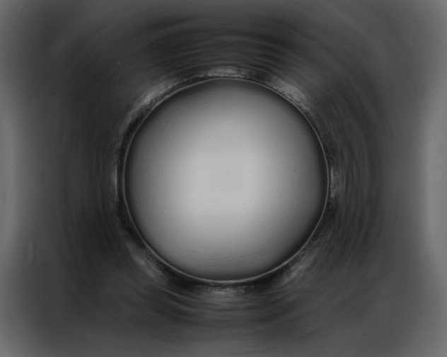 X0000086990349200705071441