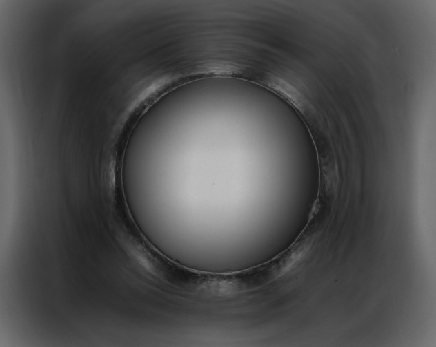 X0000086990350200705071441