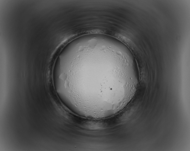 X0000086990351200705071441