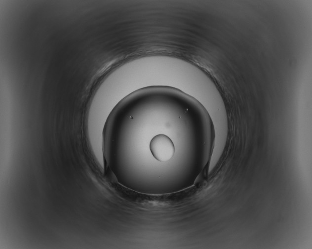 X0000086990352200705071441