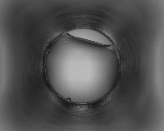 X0000086990353200705071441