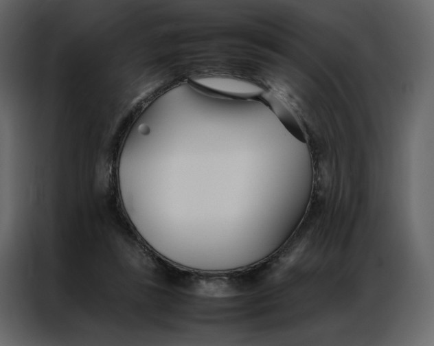 X0000086990355200705071441