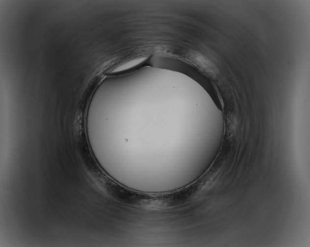 X0000086990356200705071441