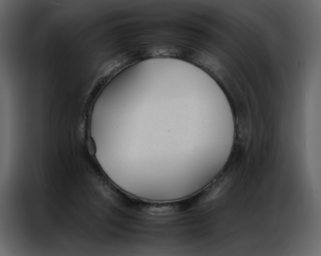 X0000086990357200705071441