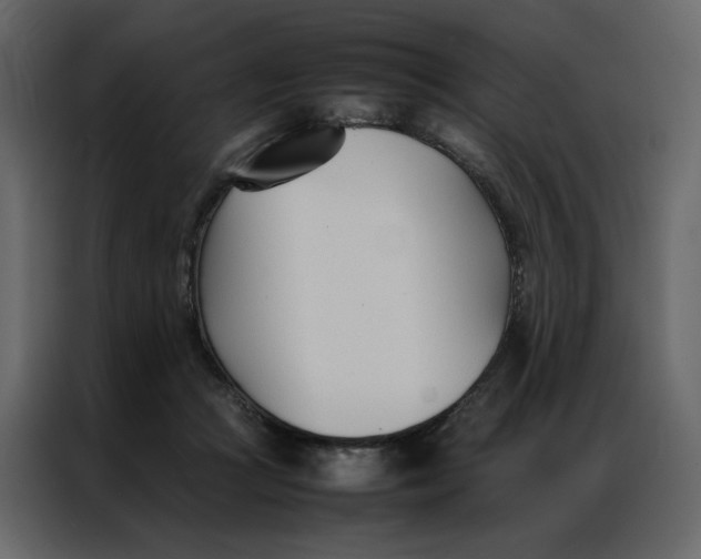 X0000086990361200705071441