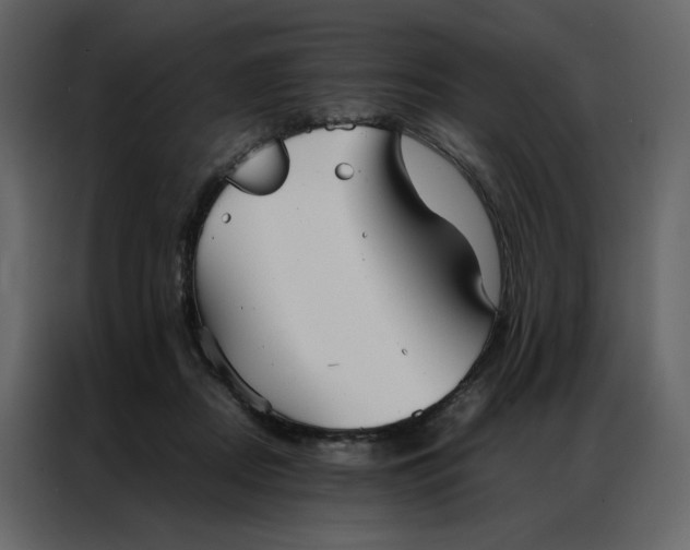 X0000086990362200705071441