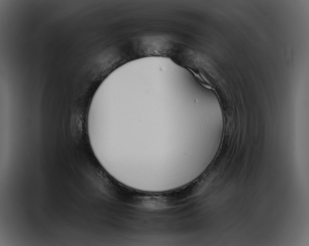 X0000086990363200705071441