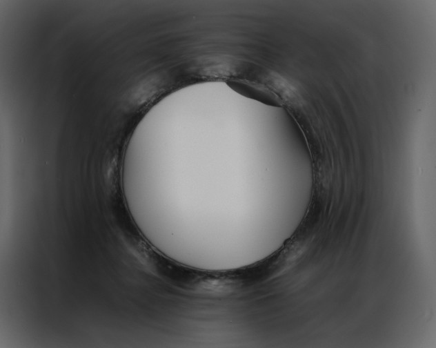 X0000086990364200705071441