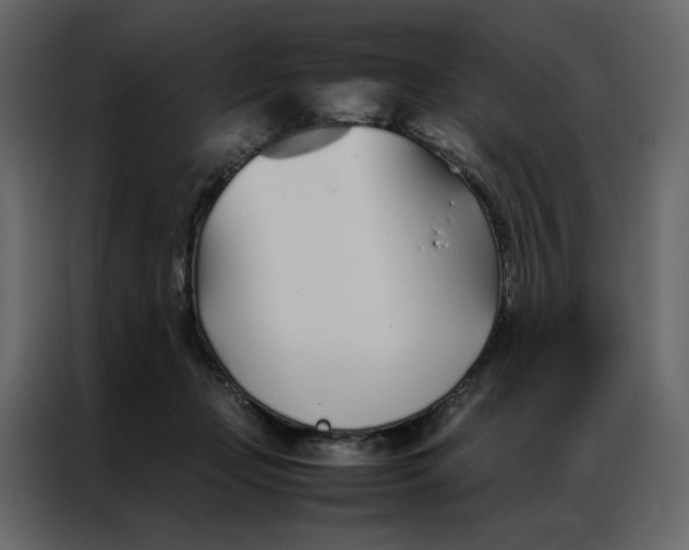 X0000086990365200705071441