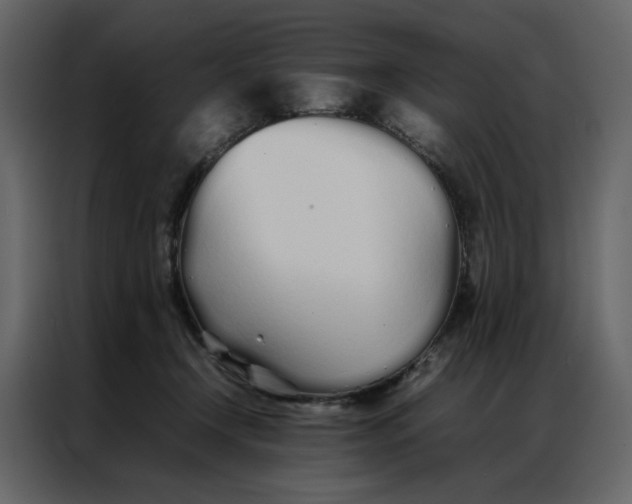 X0000086990366200705071441