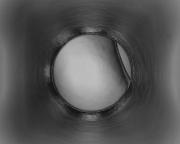 X0000086990368200705071441