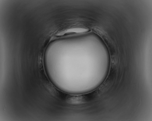 X0000086990369200705071441