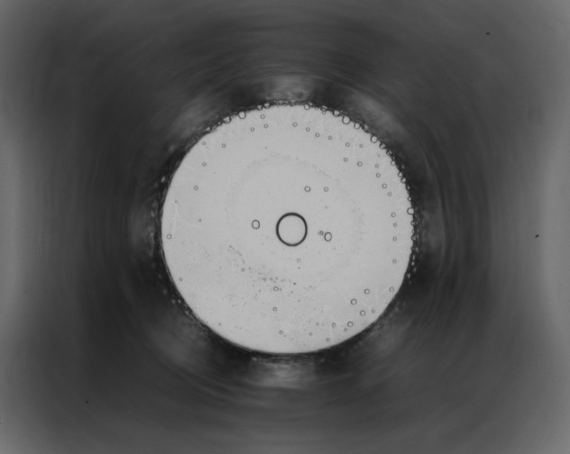 X0000086990370200705071441