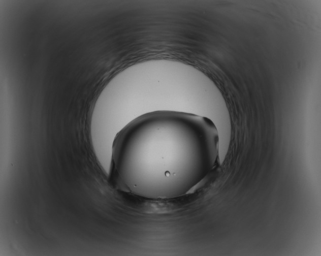 X0000086990372200705071441