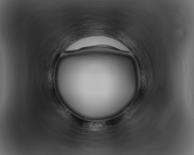 X0000086990373200705071441