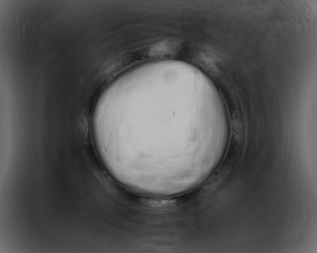 X0000086990375200705071441