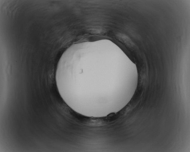 X0000086990376200705071441