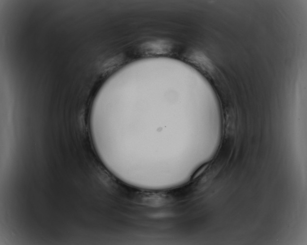 X0000086990377200705071441