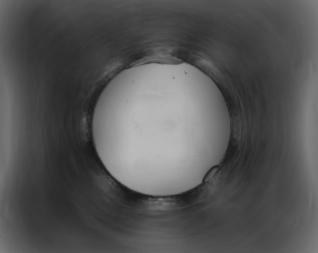 X0000086990378200705071441