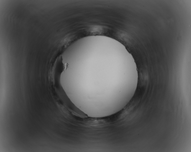 X0000086990379200705071441